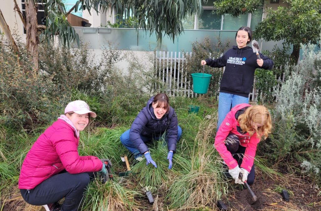 Foreshore and reserve revegetation