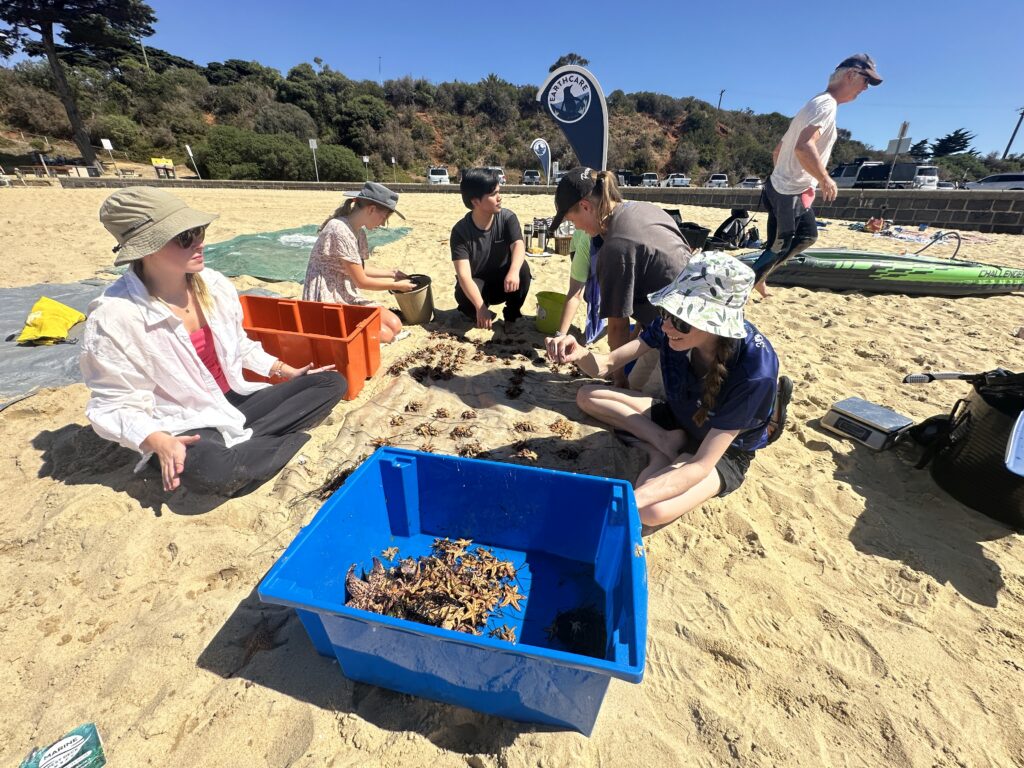 NPS-beach-crew-1-1024×768